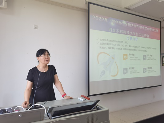 82bf82296a0f46bebace55297ed4c1f9.jpg 2.jpg