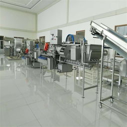 净菜加工线 定制果蔬切割清洗加工流水线 价格低质量好